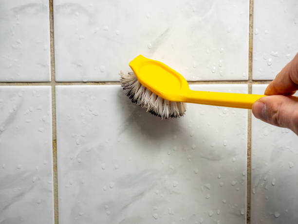 Best Insurance-Related Mold Remediation in Fullerton, NE