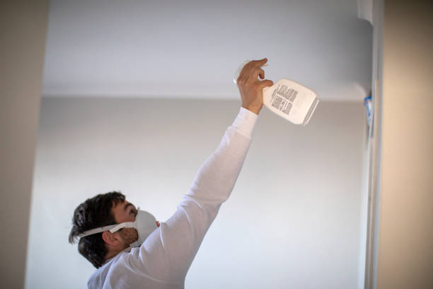 Best Insurance-Related Mold Remediation in Fullerton, NE