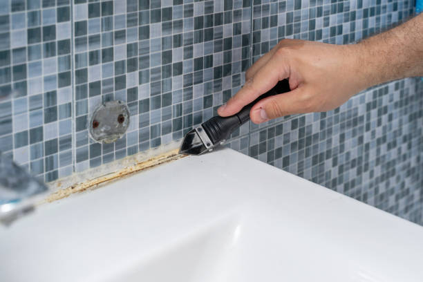 Best Mold Testing and Inspection Services in Fullerton, NE