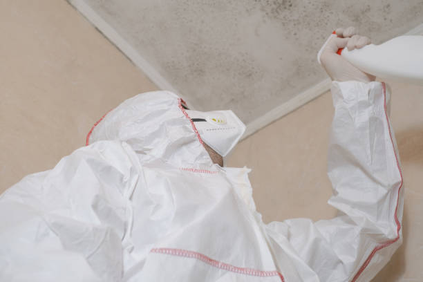 Best Bathroom Mold Remediation in Fullerton, NE