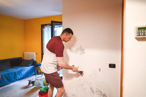 Best HVAC Mold Remediation in Fullerton, NE